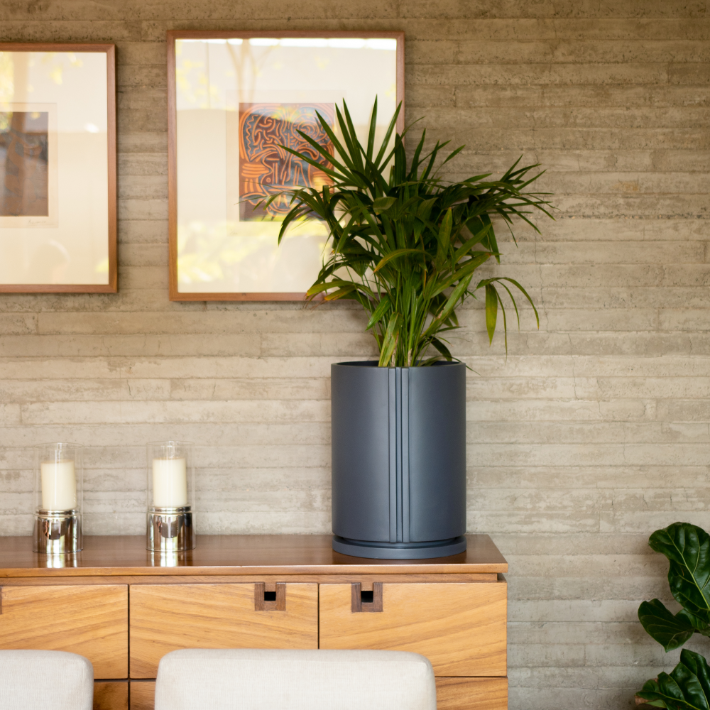 Image from products-gallery metafield