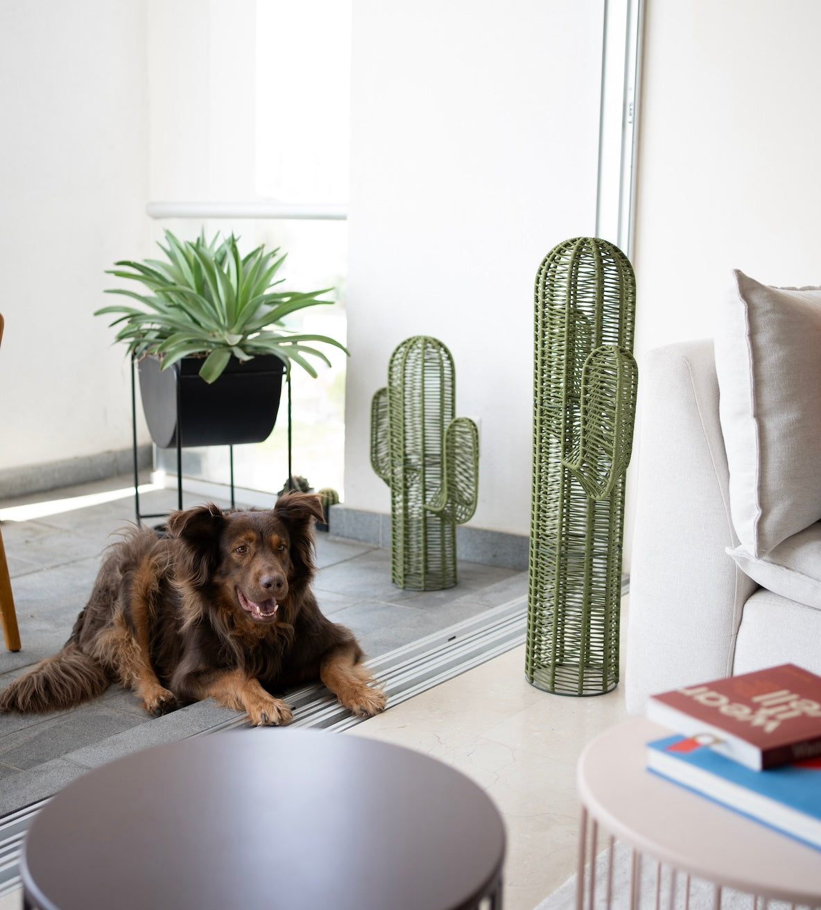 Image from products-gallery metafield