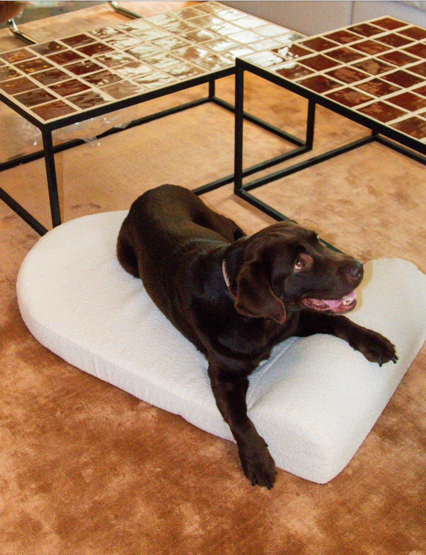 Image from products-gallery metafield