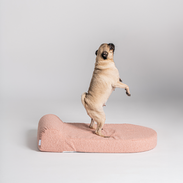 Dog Bed Medium