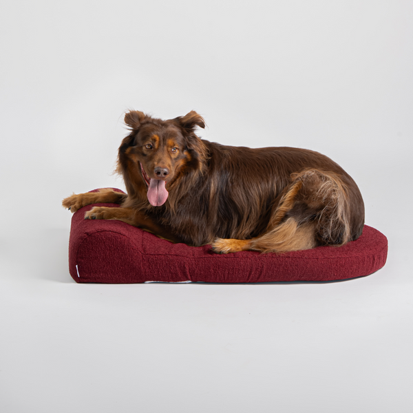 Dog Bed Large