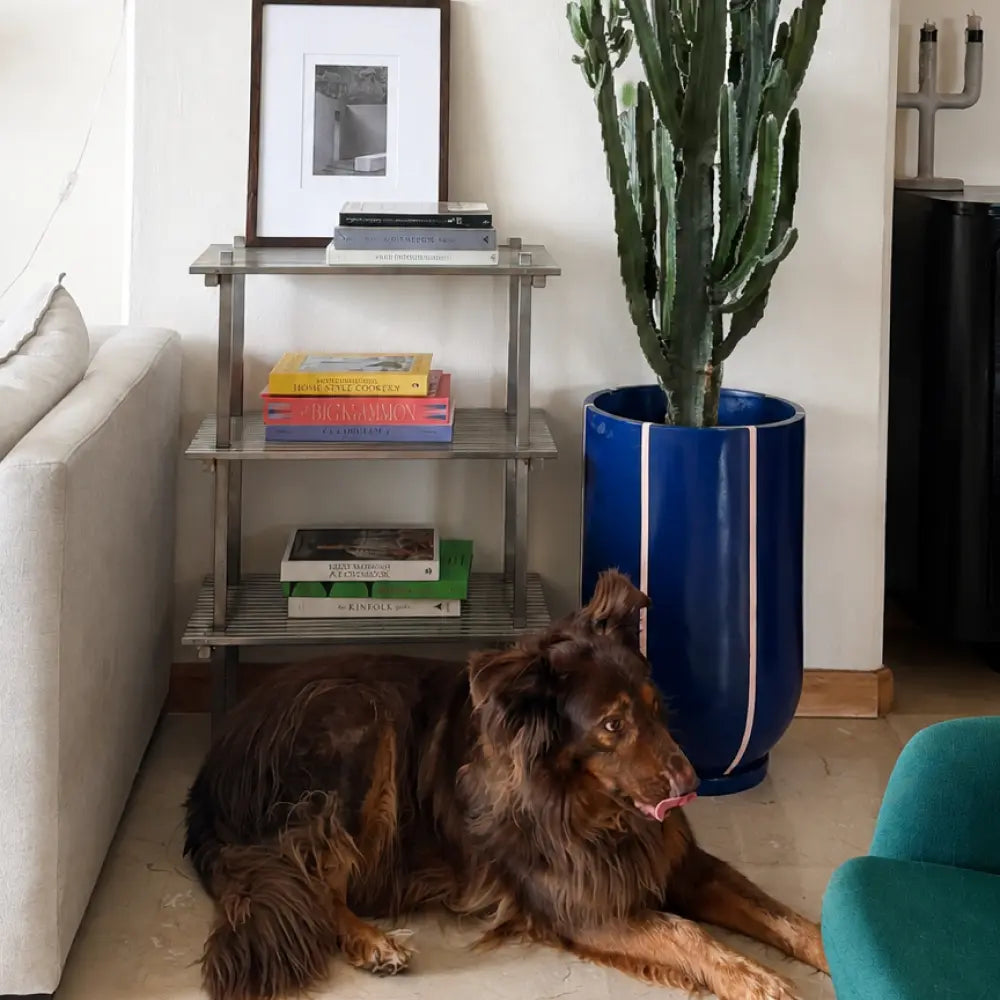 Image from products-gallery metafield