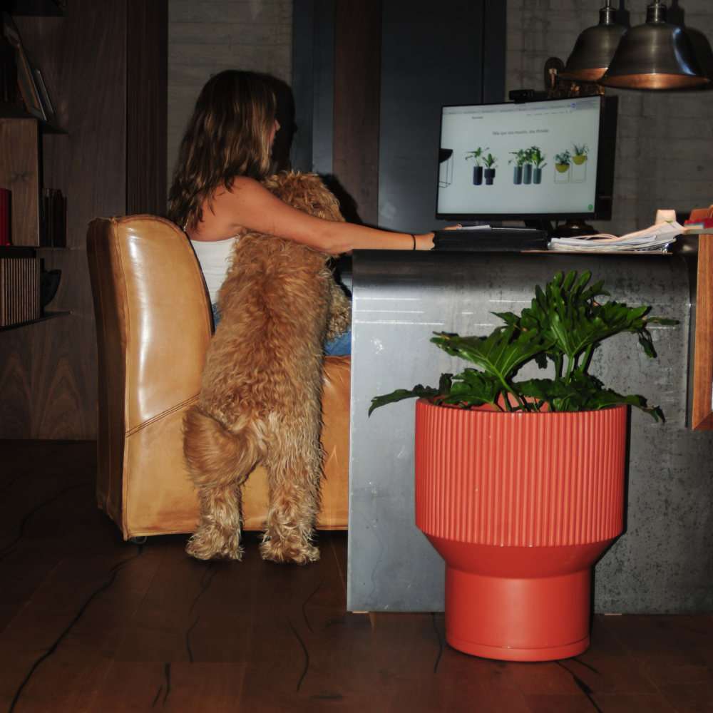 Image from products-gallery metafield