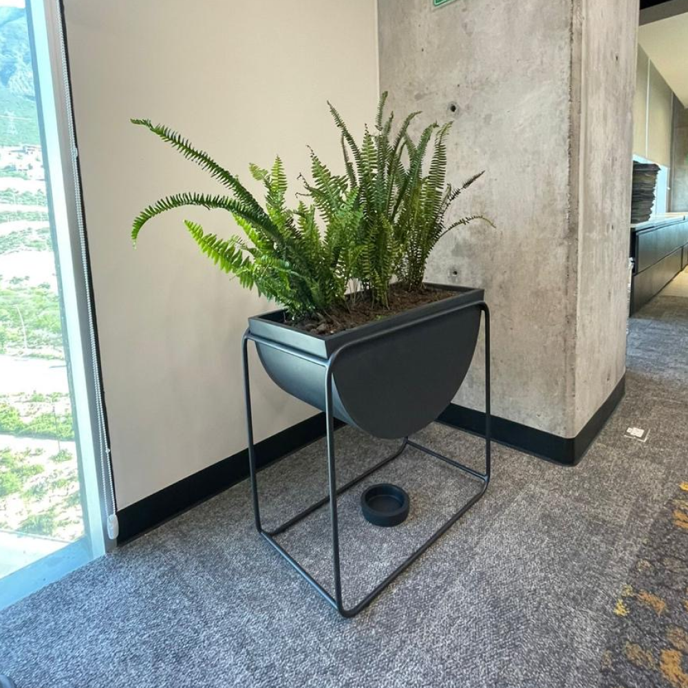 Image from products-gallery metafield