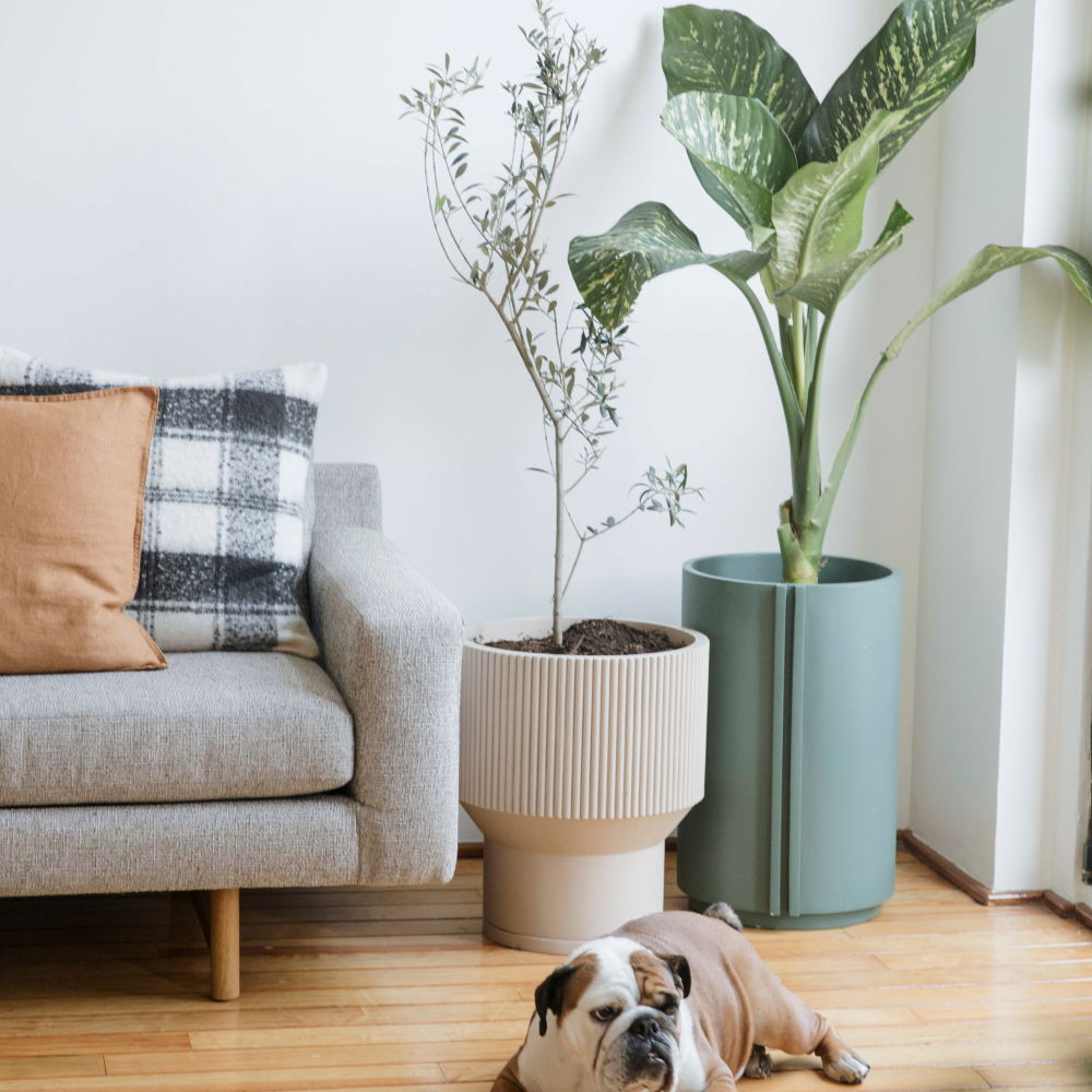 Image from products-gallery metafield