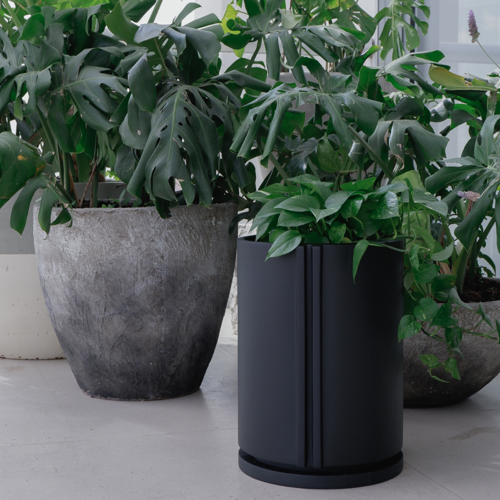 Image from products-gallery metafield