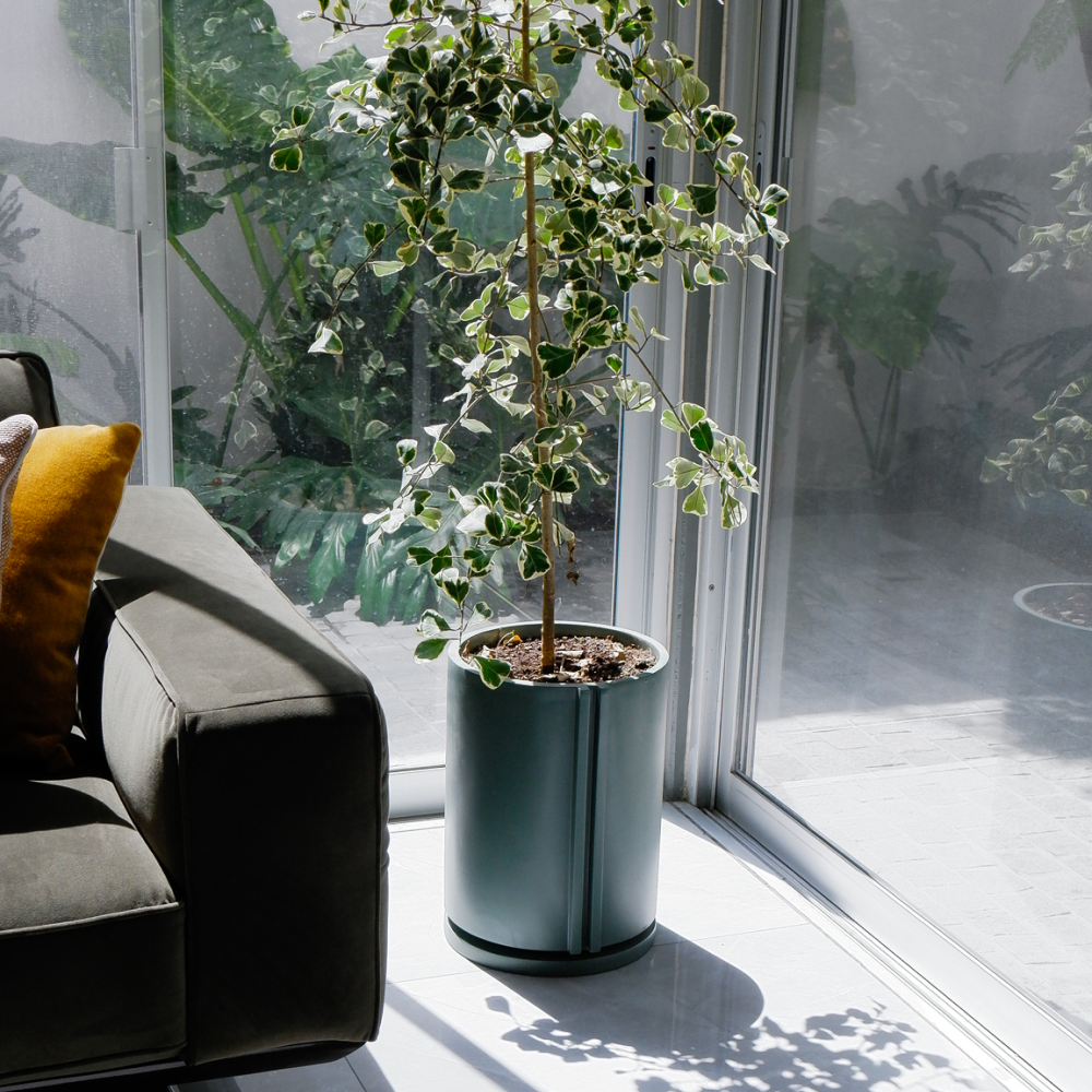 Image from products-gallery metafield