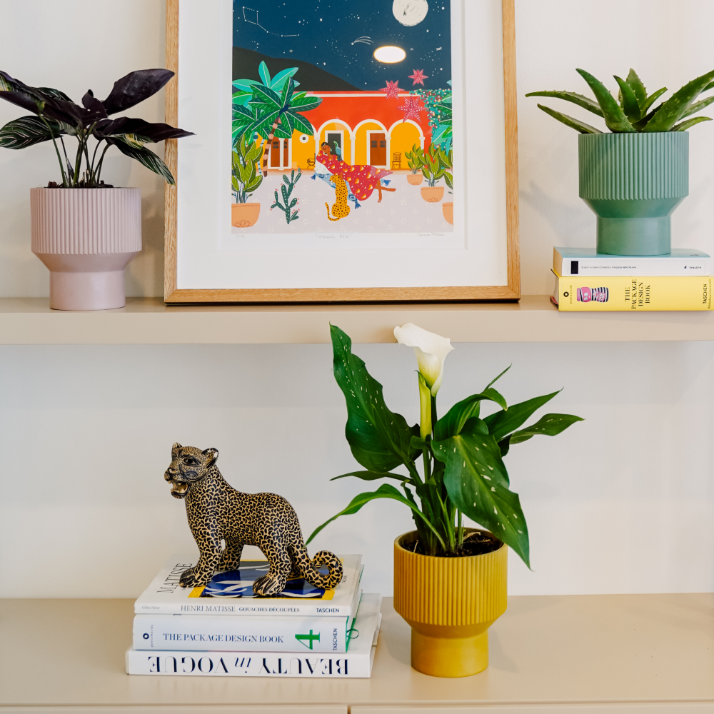 Image from products-gallery metafield