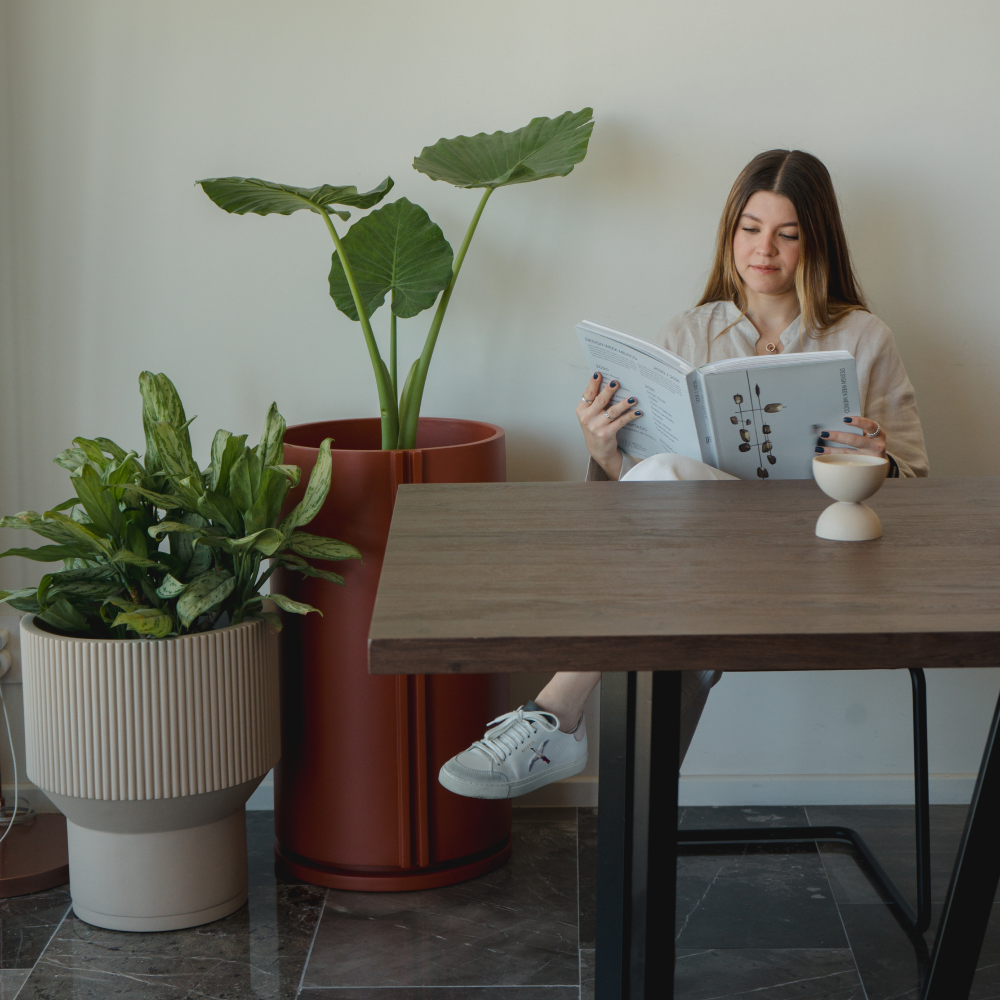 Image from products-gallery metafield