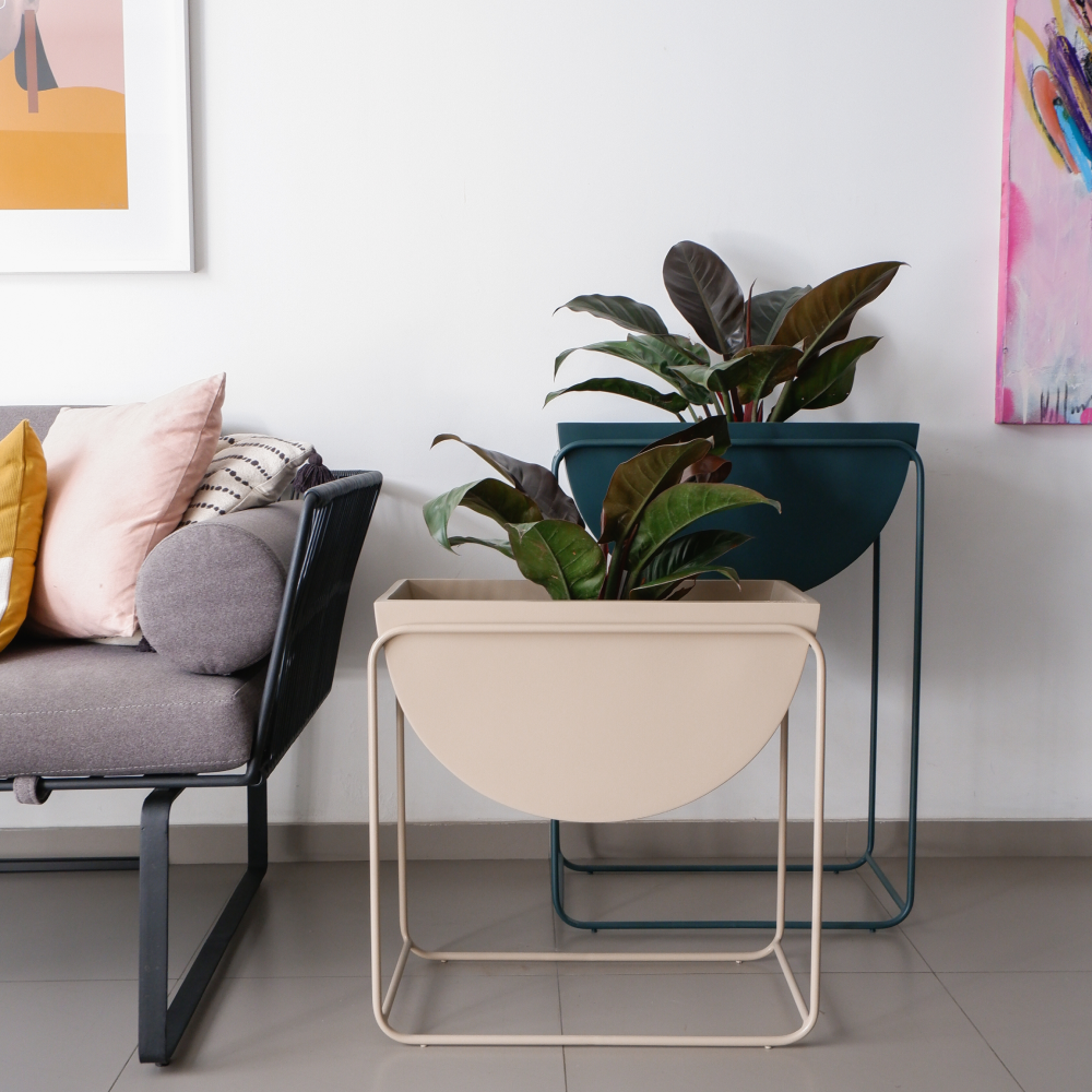 Image from products-gallery metafield