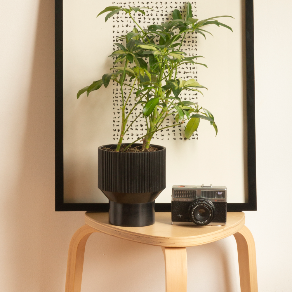 Image from products-gallery metafield