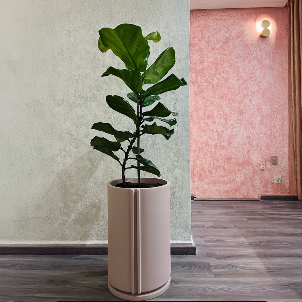 Image from products-gallery metafield