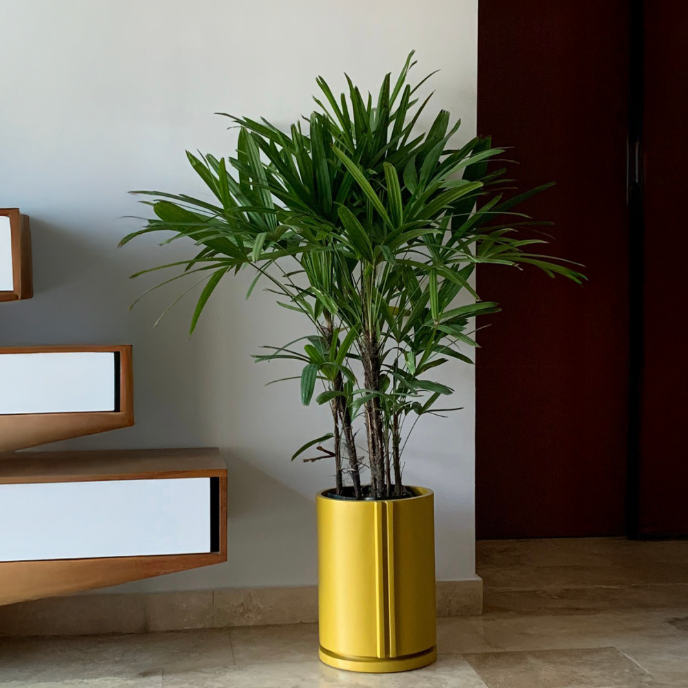 Image from products-gallery metafield