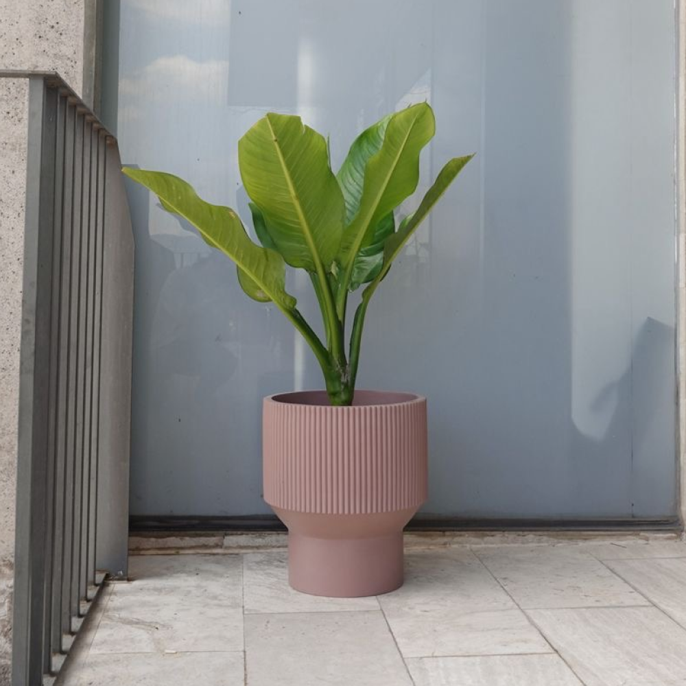 Image from products-gallery metafield