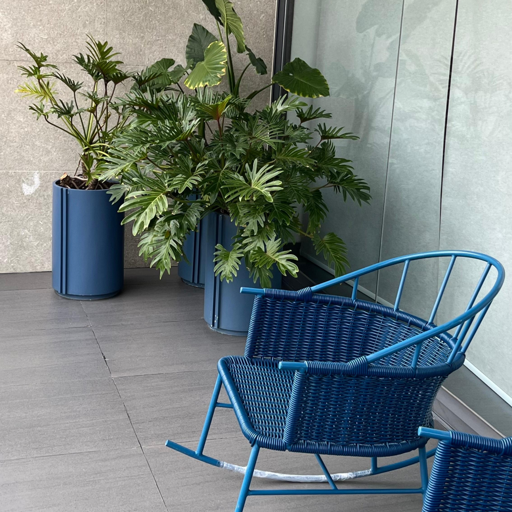 Image from products-gallery metafield