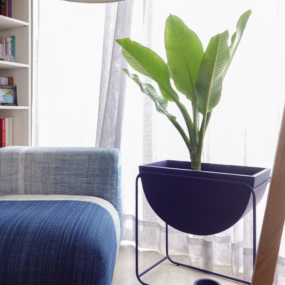 Image from products-gallery metafield