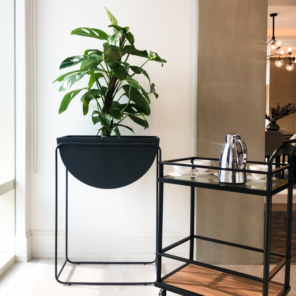 Image from products-gallery metafield