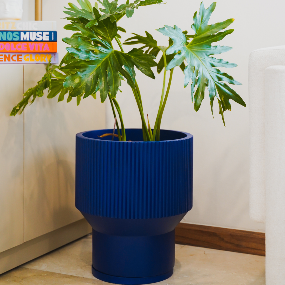 Image from products-gallery metafield