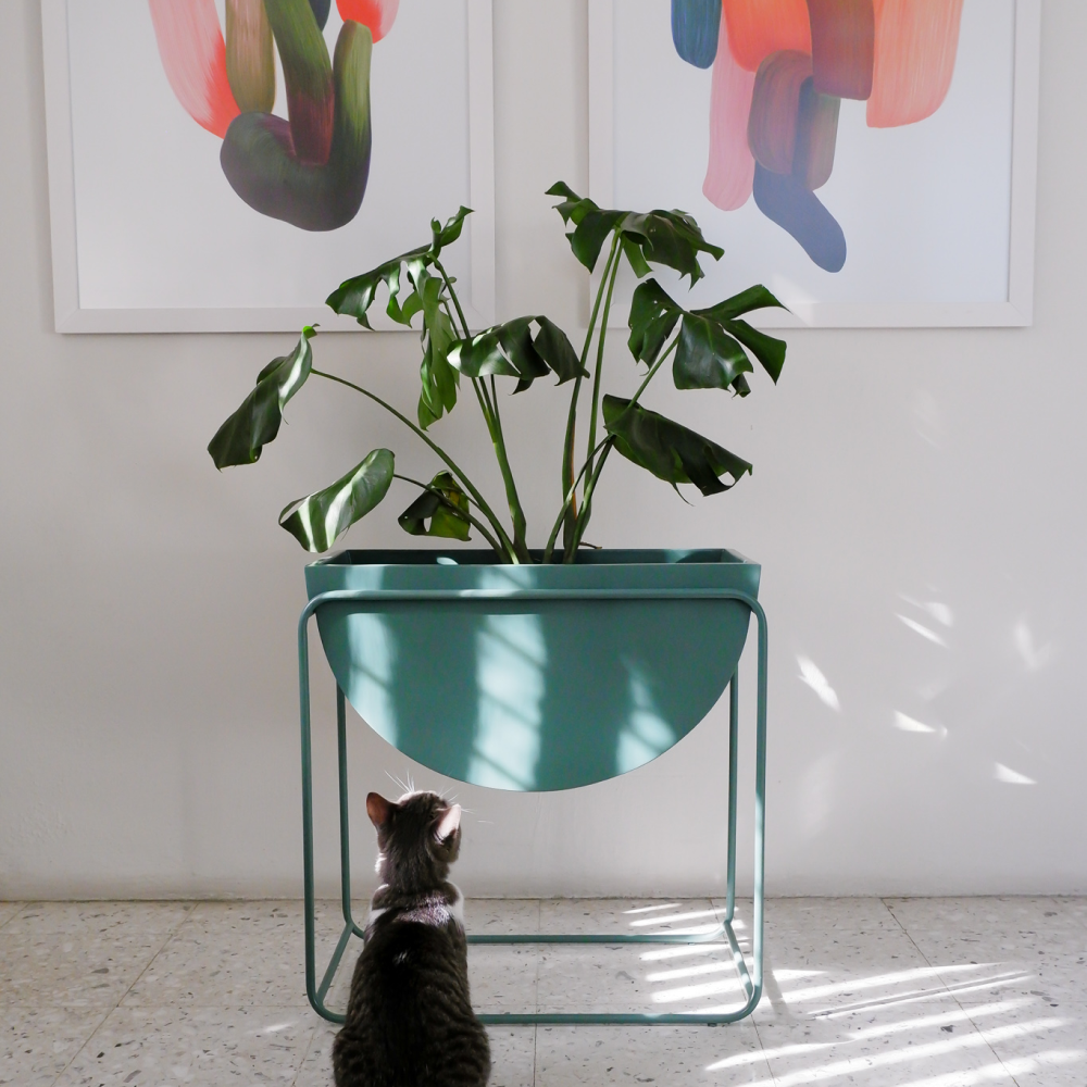 Image from products-gallery metafield