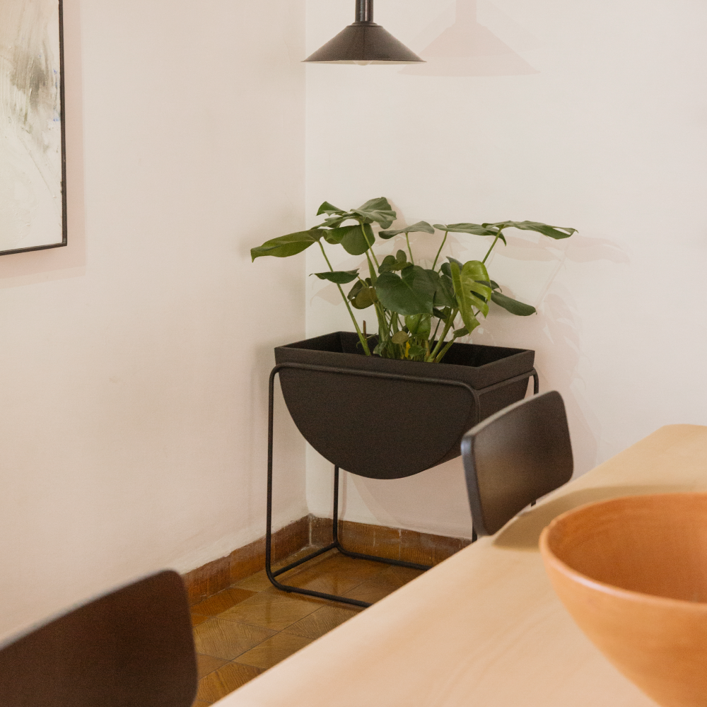 Image from products-gallery metafield