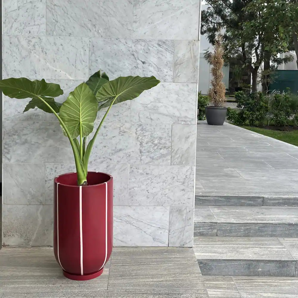 Image from products-gallery metafield