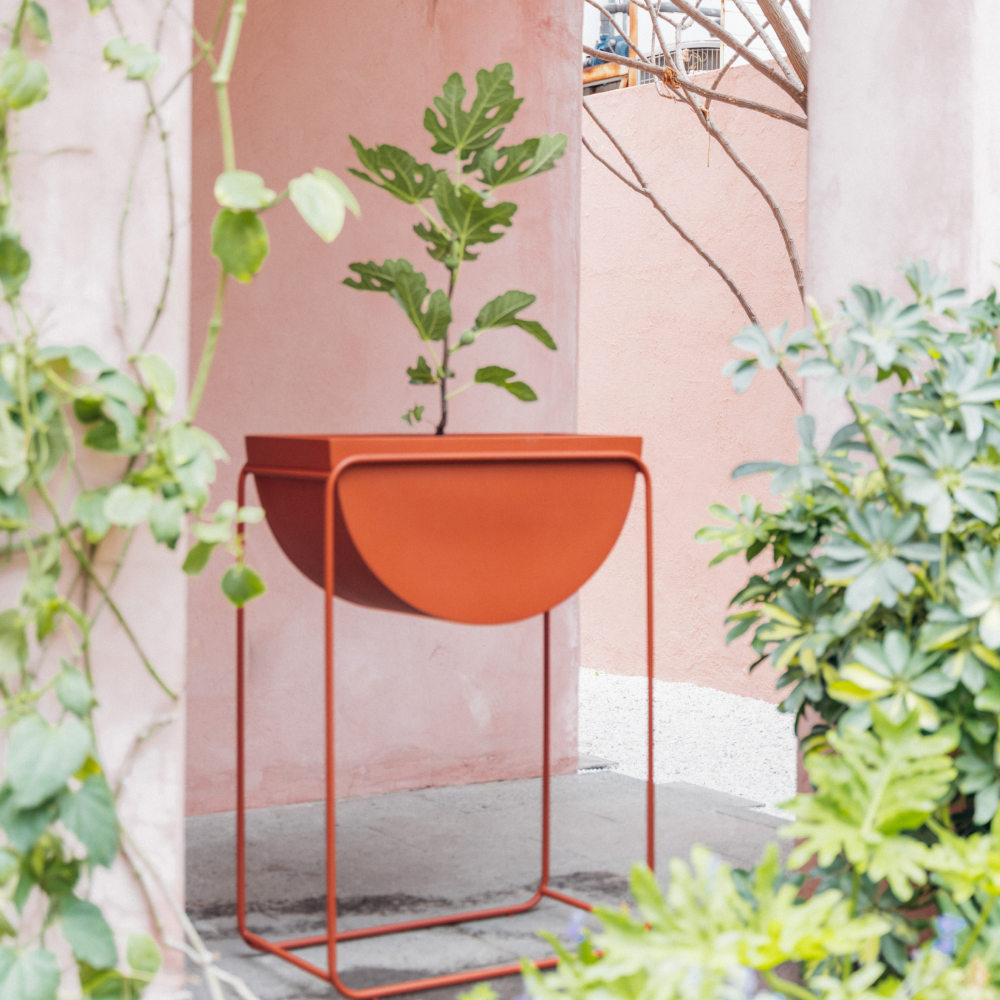 Image from products-gallery metafield