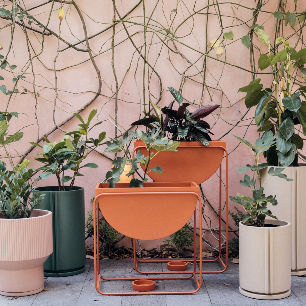 Image from products-gallery metafield