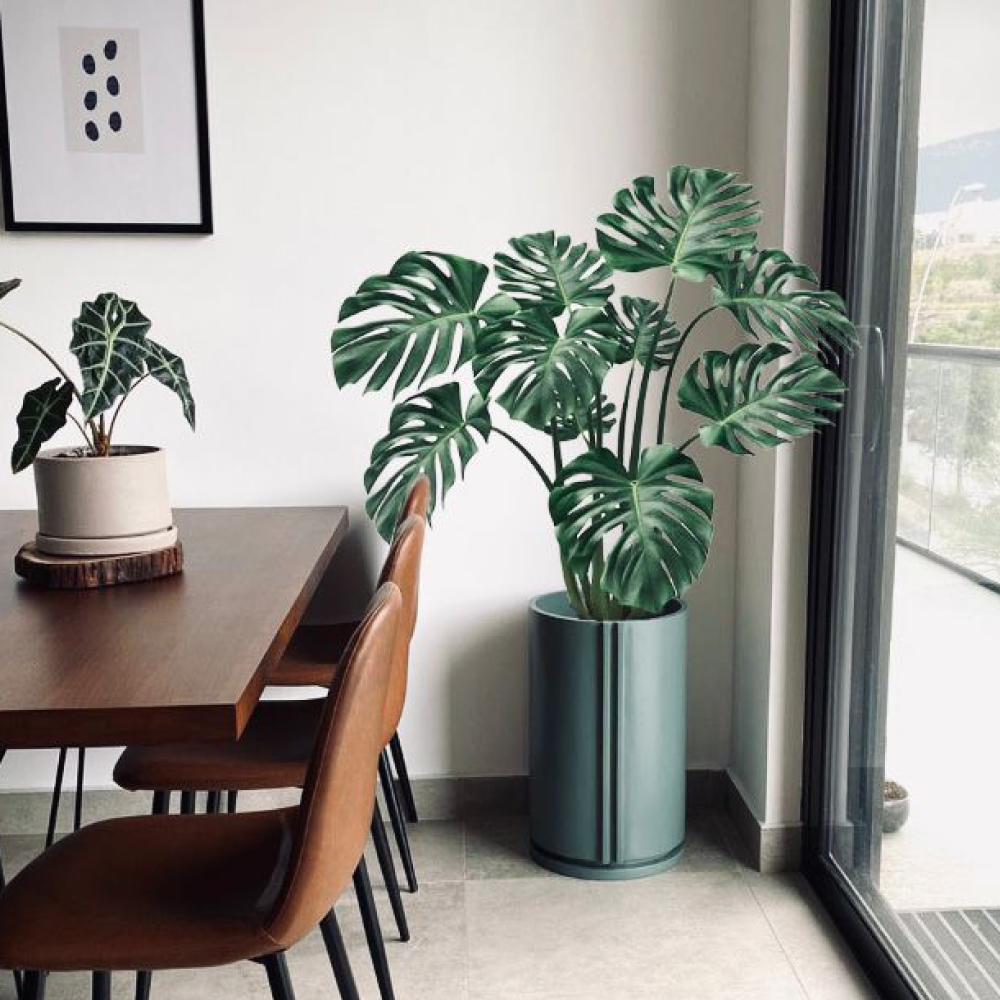 Image from products-gallery metafield