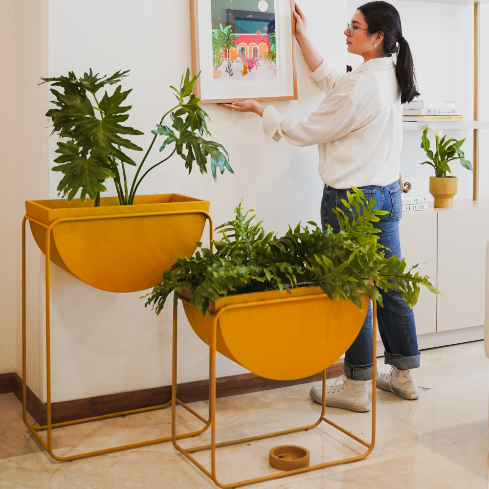 Image from products-gallery metafield