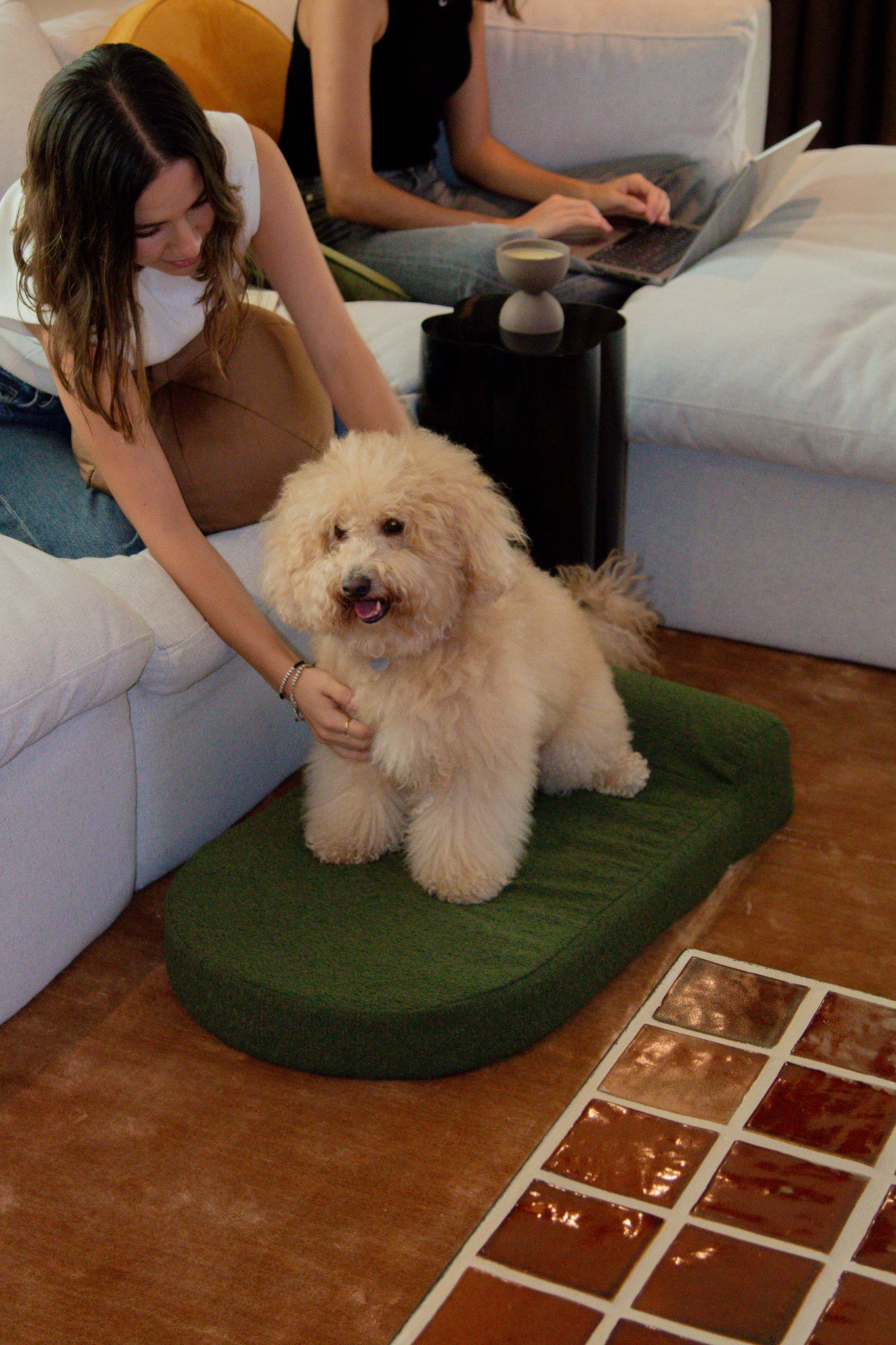 Image from products-gallery metafield