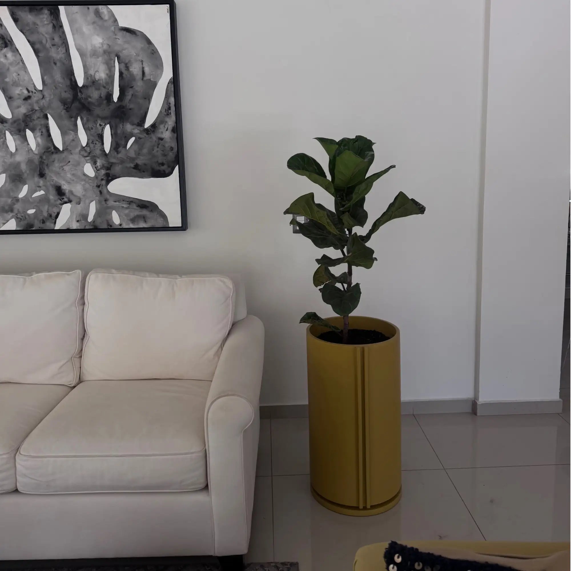 Image from products-gallery metafield