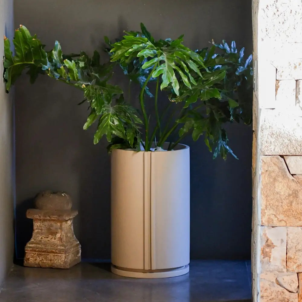 Image from products-gallery metafield